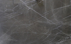Pietra Grey (����� ����)